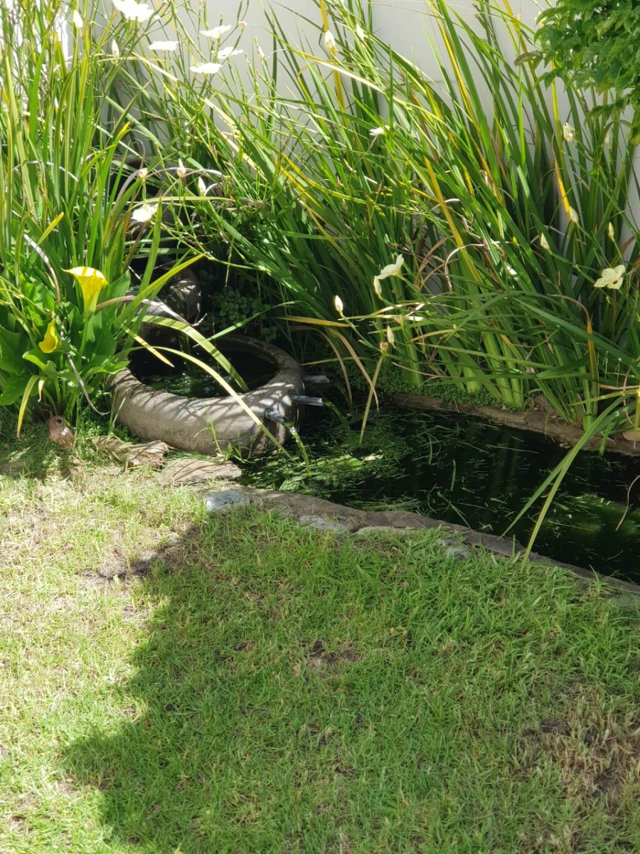 To Let 2 Bedroom Property for Rent in Burgundy Estate Western Cape